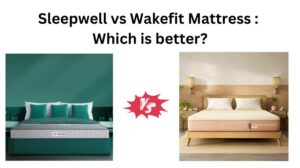 Read more about the article Sleepwell vs Wakefit Mattress : Which is better?